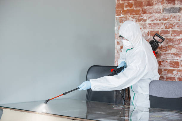 Best Mold Damage Restoration  in Ashton, ID