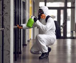 Best Mold Prevention Services  in Ashton, ID